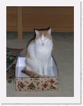 Tommy en Tymo 239 * 1536 x 2048 * (1.1MB)